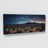 Succulent Desert Star 74