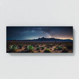 Succulent Desert Star 74