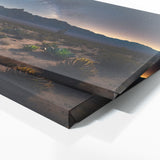 Succulent Desert Star 74