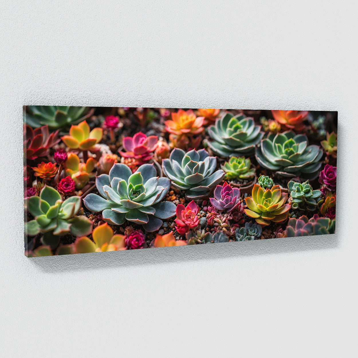 succulent plant paintings Succulent Spectrum 82 Canvas Wall Art Print Decor Artwork Picture Painting Poster – Sense Canvas