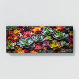 Succulent Spectrum 82