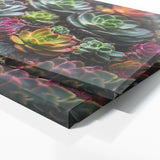 Succulent Spectrum 82