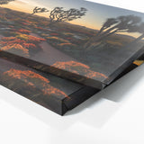 Succulent Sunset Symphony 67