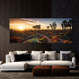 Succulent Sunset Symphony 67