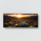 Succulent Sunset Symphony 68