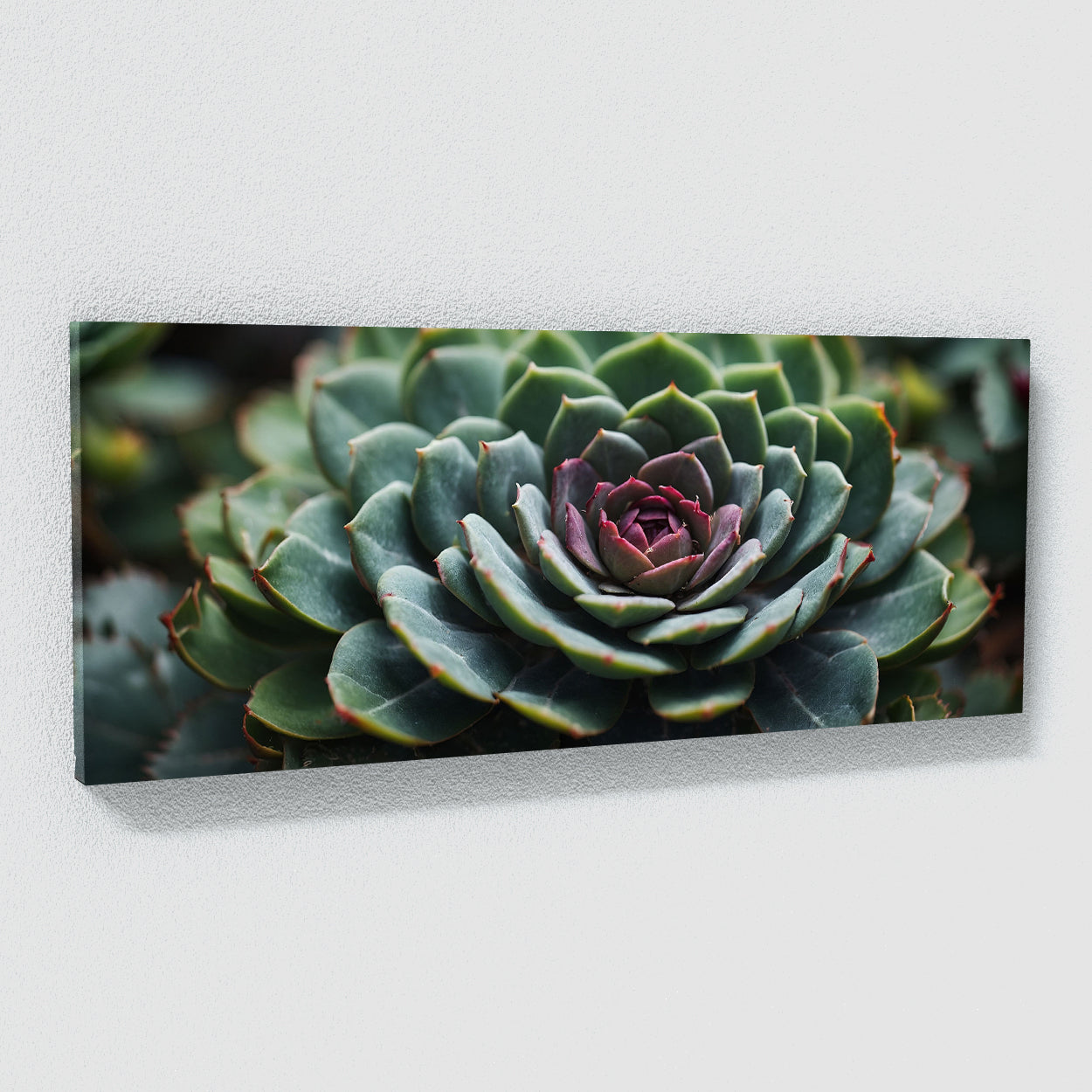 succulent artworks Succulent Symmetric Beauty 80