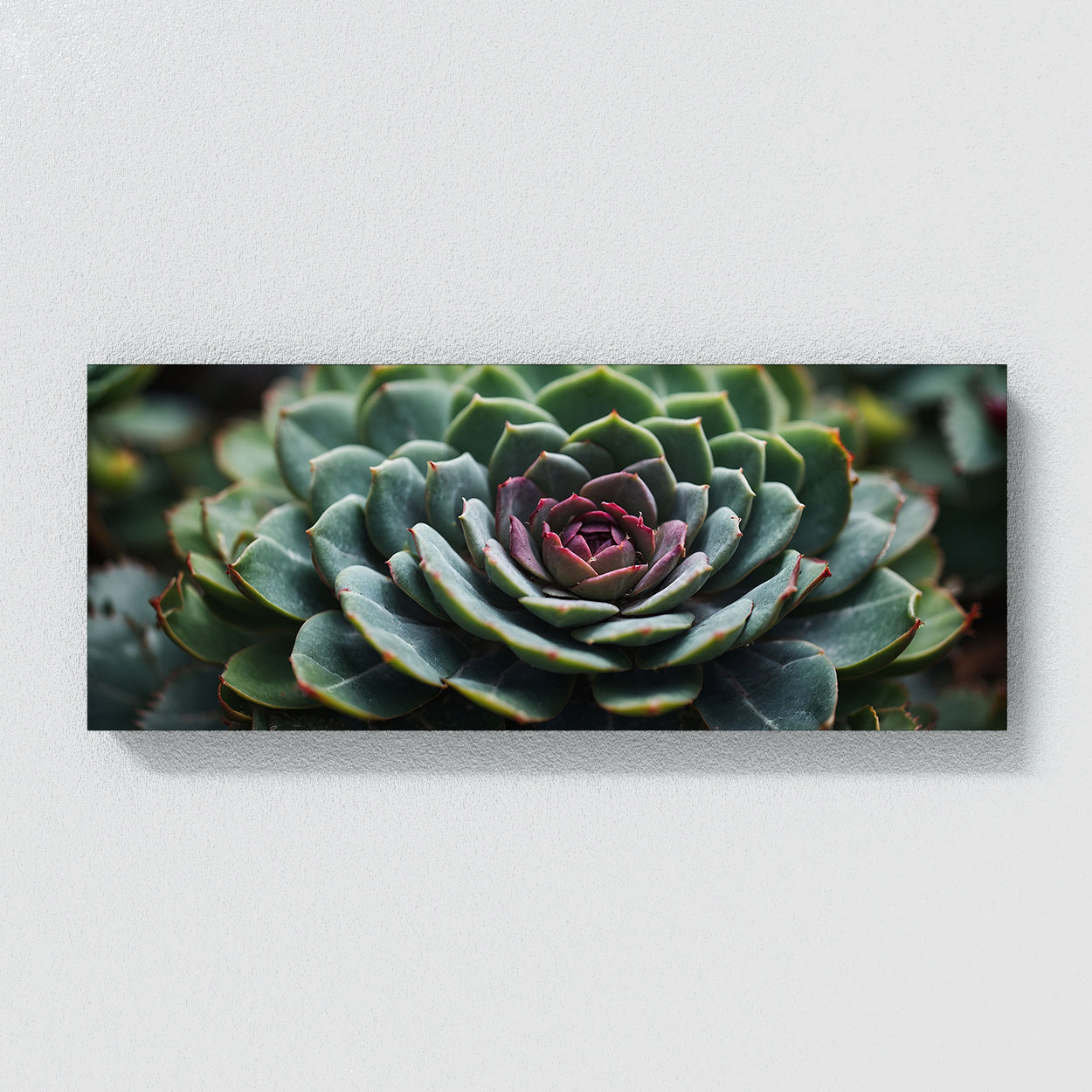symmetrical succulent Succulent Symmetric Beauty 80 Canvas Wall Art Print Decor Artwork Picture Painting Poster – Sense Canvas