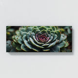 Succulent Symmetric Beauty 80