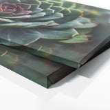 Succulent Symmetric Beauty 80