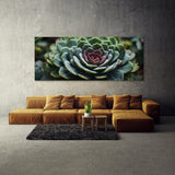 Succulent Symmetric Beauty 80