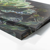 Succulent Symphony 6