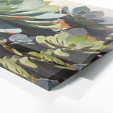 Succulent Symphony 84