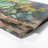 Succulent Vibrant Symphony 44