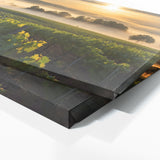 Countryside Morning Vineyard 82