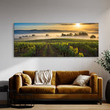 Countryside Morning Vineyard 82