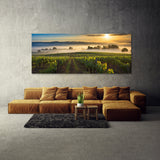 Countryside Morning Vineyard 82