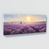 Countryside Provence Bliss 9