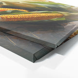 Corn Abstract Harvest 78