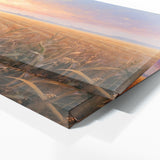 Corn Dawns Gentle Radiance 33