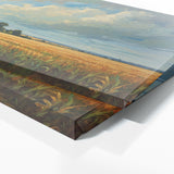 Corn Dreamy Cornfield 38