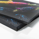 Corn Electric Harvest 85