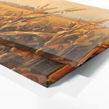 Corn Golden Harvest 5