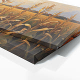 Corn Golden Harvest Glow 41