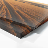 Corn Golden Harvest Vista 75