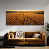 Corn Golden Harvest Vista 75