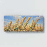 Corn Harvest Hues 21