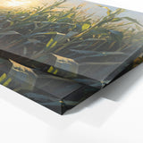 Corn Harvest Shadows 51