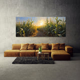 Corn Harvest Shadows 51