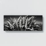Corn Monochrome Cornscape 89