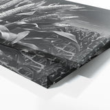 Corn Monochrome Cornscape 89