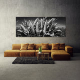 Corn Monochrome Cornscape 89