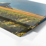 Corn Morning Cornfield Glow 17