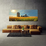 Corn Morning Cornfield Glow 17