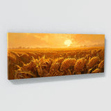 Corn Sunlit Cornfield 2