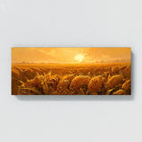 Corn Sunlit Cornfield 2