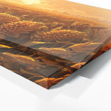 Corn Sunlit Cornfield 2