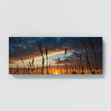 Corn Sunset Silhouette 60