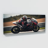 Motorcycle Racing Apex 117