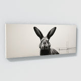 Bunny In Minimalism 84