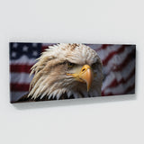 Patriot Patriotic Focus 70