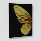 Butterfly Wall Art