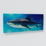 Shark Wall Art