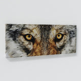 Wolf Eyes Wall Art