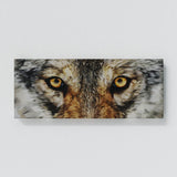 Wolf Eyes Wall Art