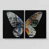 Butterfly Wall Art