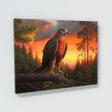 Hawk Realistic Forest Sunset 20 Wall Art